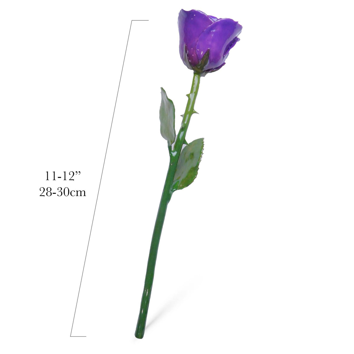 Natural Forever Rose - Purple