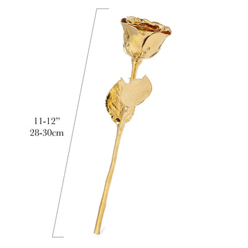 "We Are Blessed" Personalized High Detail 24K Gold Forever Rose Combo with Bloom Box & Phantom Vase™ Combo