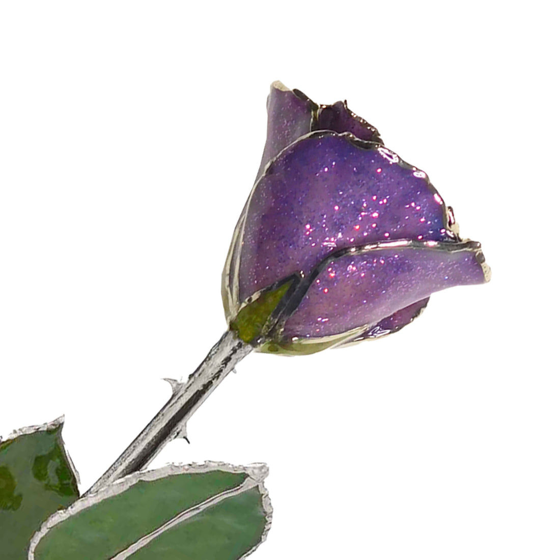 Silver Forever Rose - Amethyst (February Birthstone)