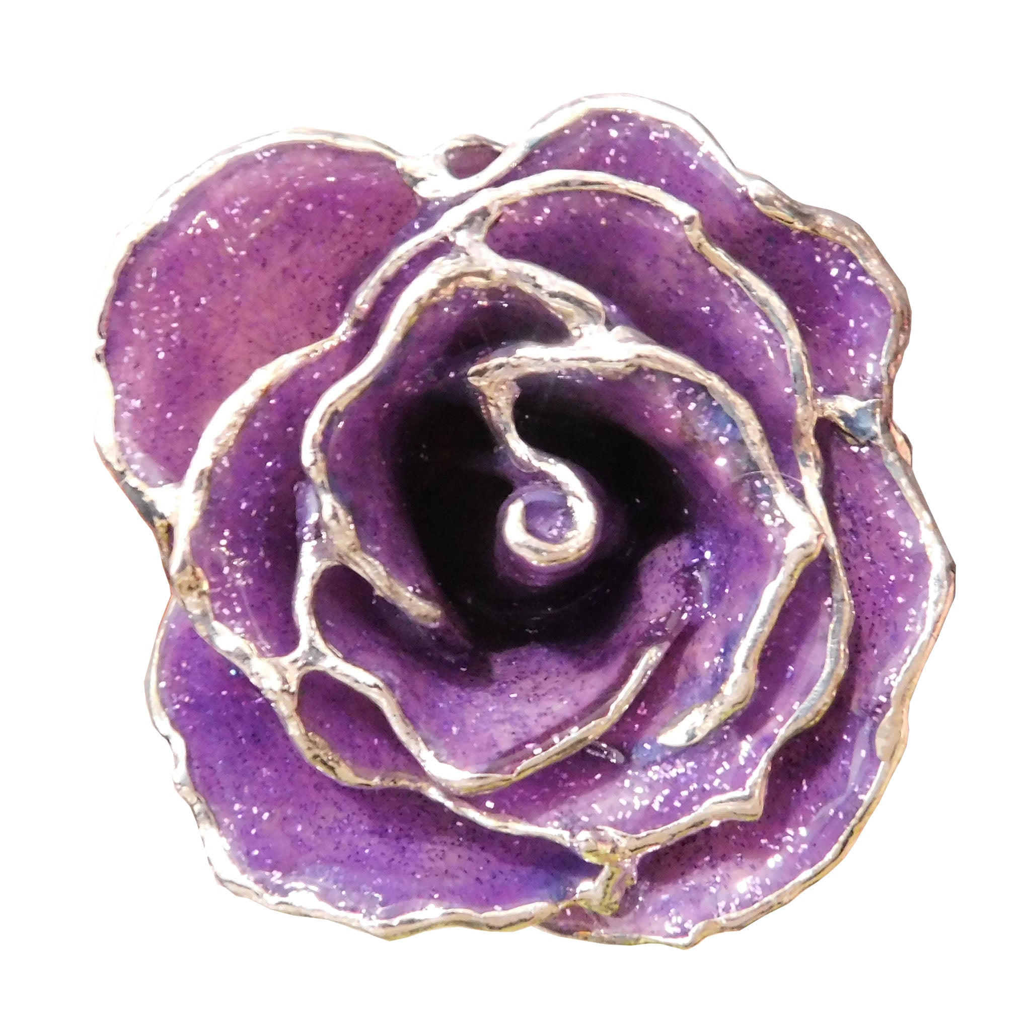 Silver Forever Rose - Amethyst (February Birthstone)
