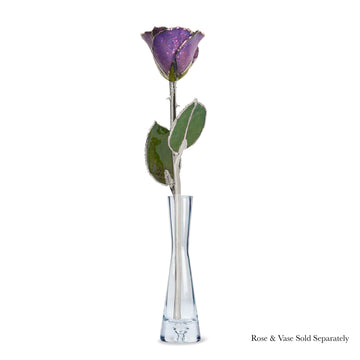 Silver Forever Rose - Amethyst (February Birthstone)