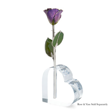 Silver Forever Rose - Amethyst (February Birthstone)