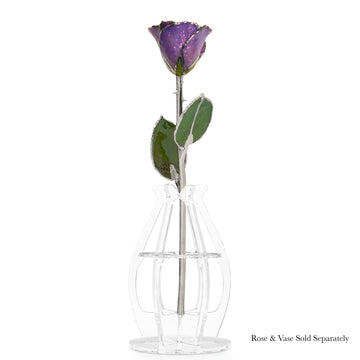 Silver Forever Rose - Amethyst (February Birthstone)