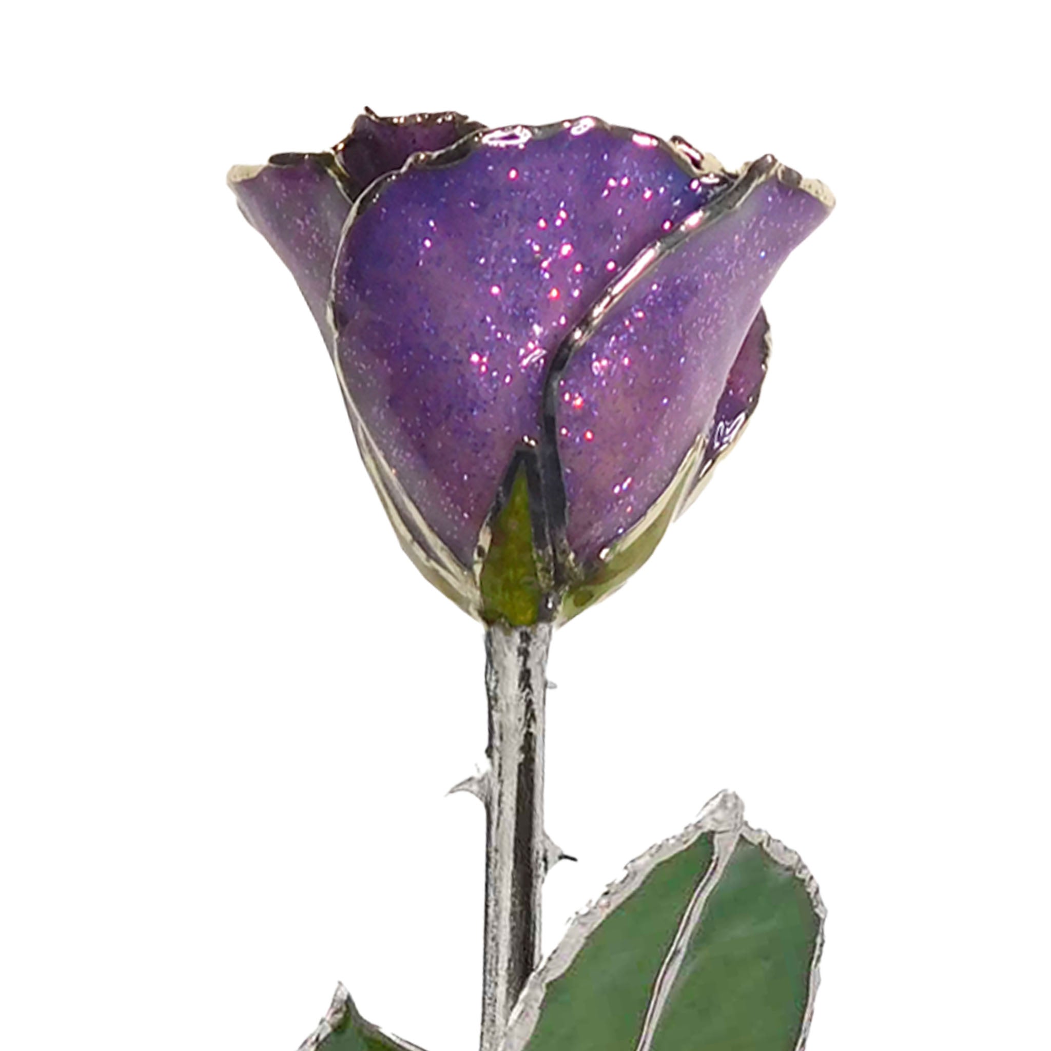 Silver Forever Rose - Amethyst (February Birthstone)