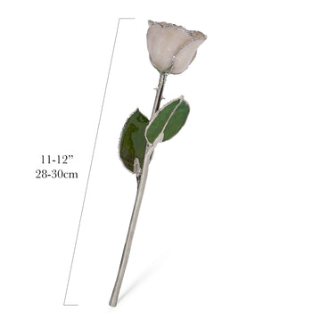 Silver Forever Rose - Diamond (April Birthstone)