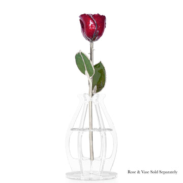 Silver Forever Rose - Garnet (January Birthstone)