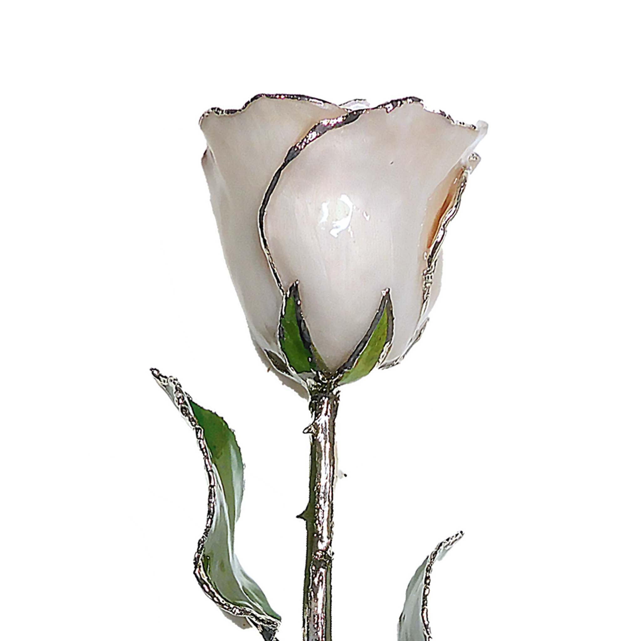 Silver Forever Rose - Pearl (June Birthstone)
