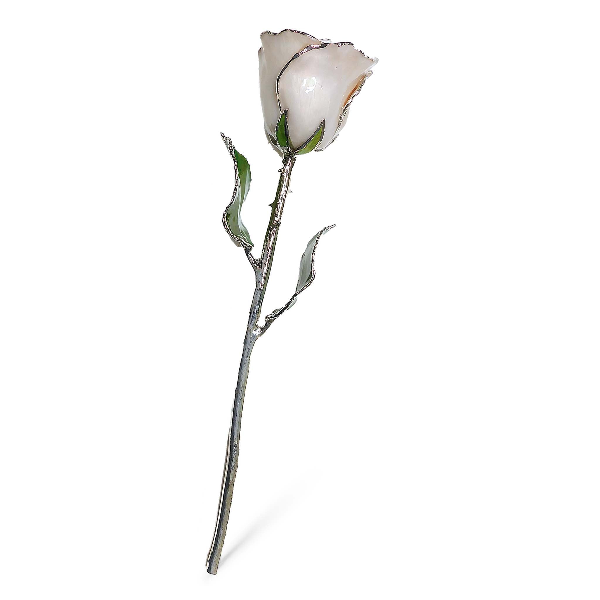 Silver Forever Rose - Pearl (June Birthstone)