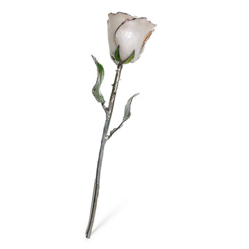 Silver Forever Rose - Pearl (June Birthstone)