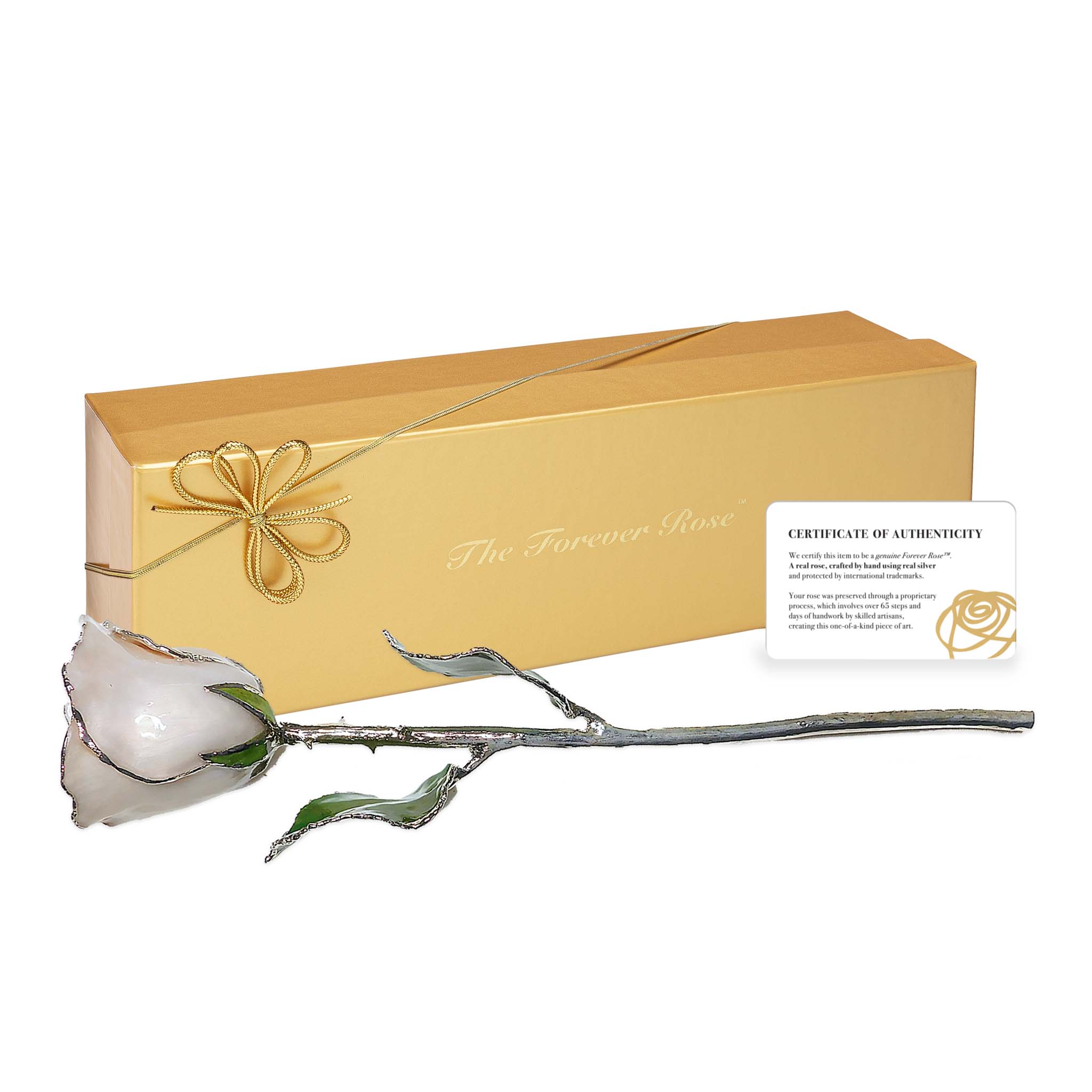 Silver Forever Rose - Pearl (June Birthstone)