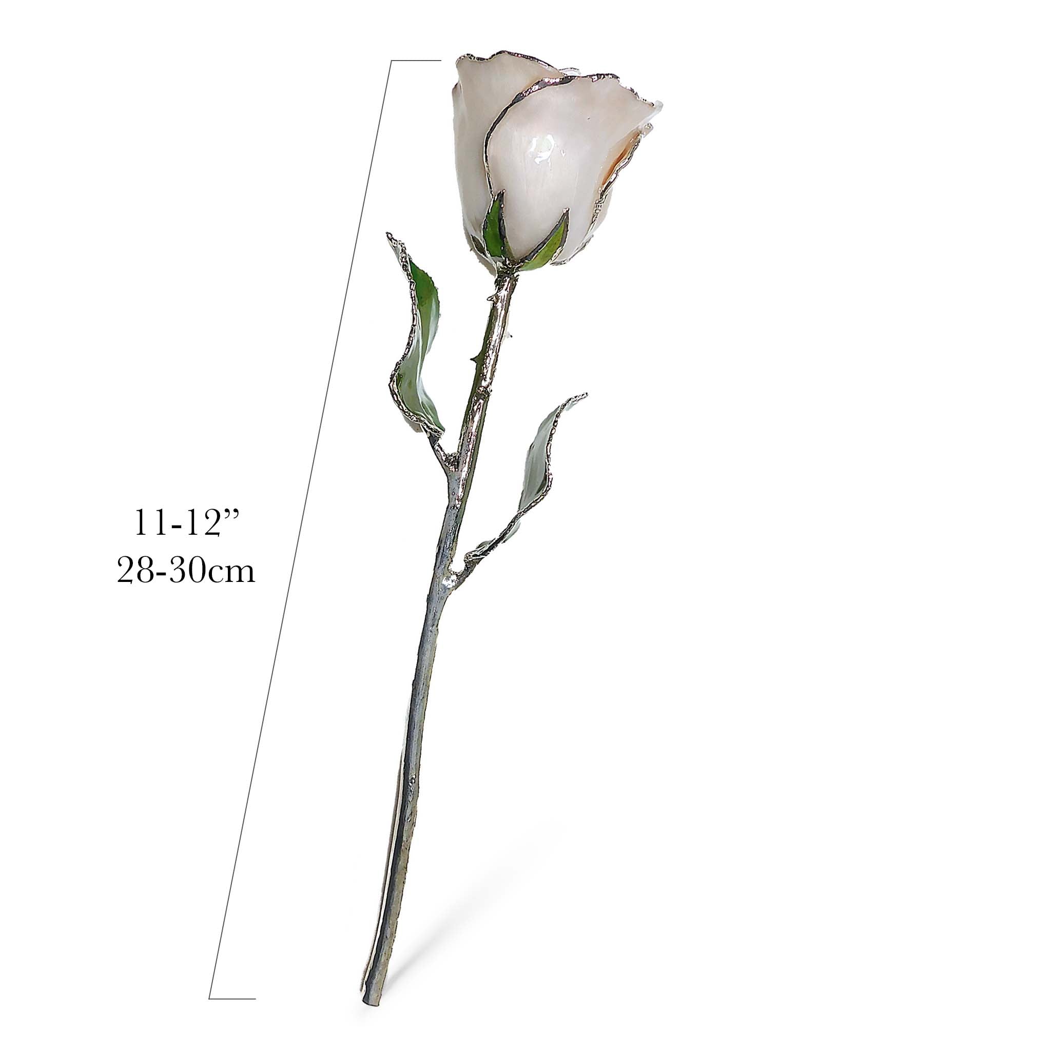 Silver Forever Rose - Pearl (June Birthstone)