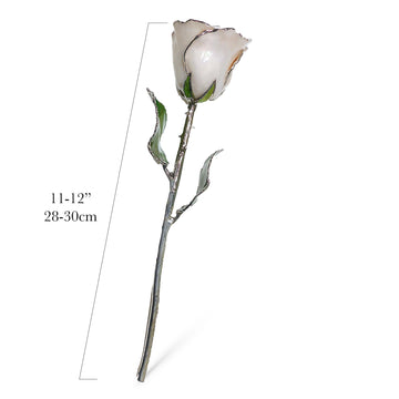 Silver Forever Rose - Pearl (June Birthstone)