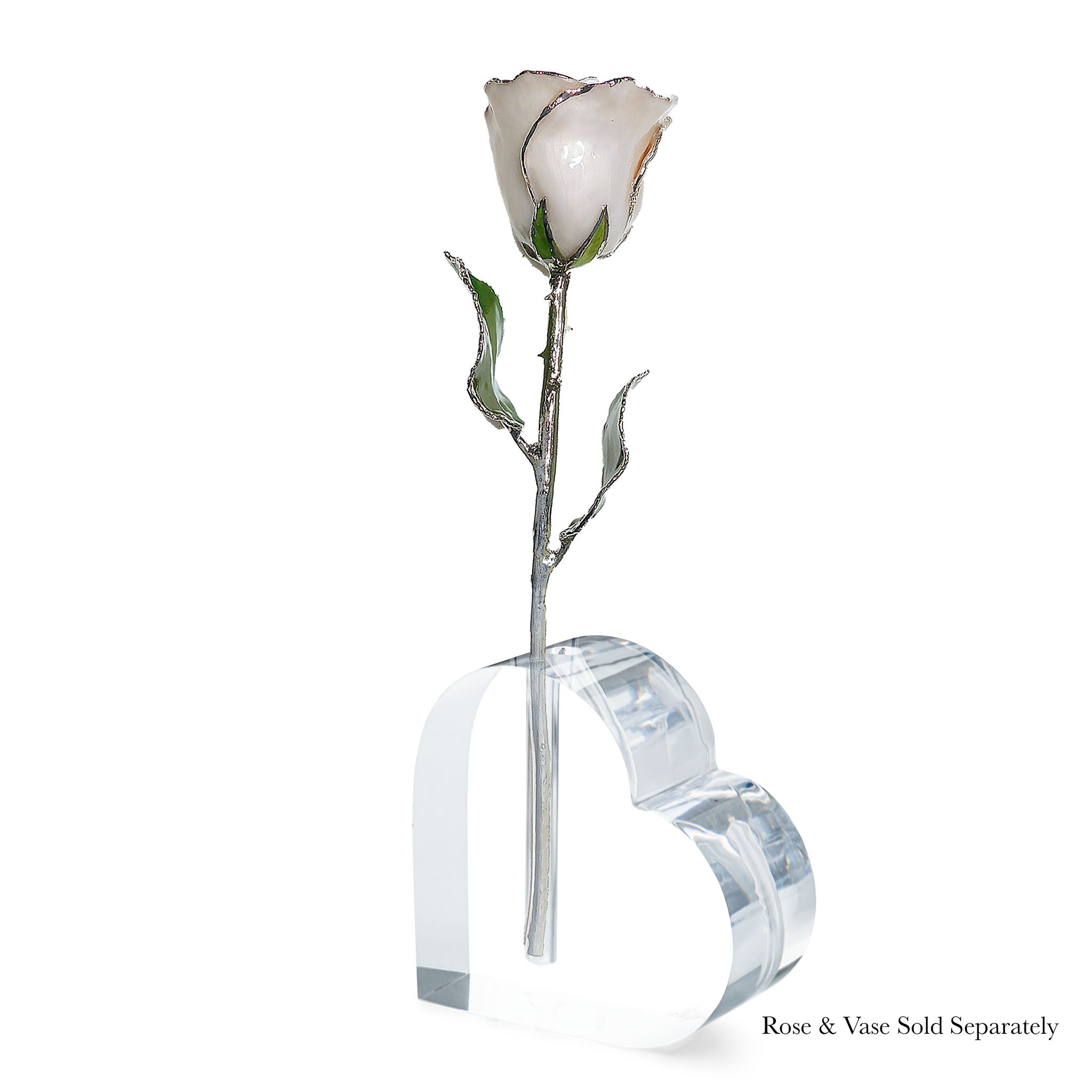 Silver Forever Rose - Pearl (June Birthstone)