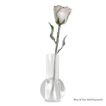 Silver Forever Rose - Pearl (June Birthstone)