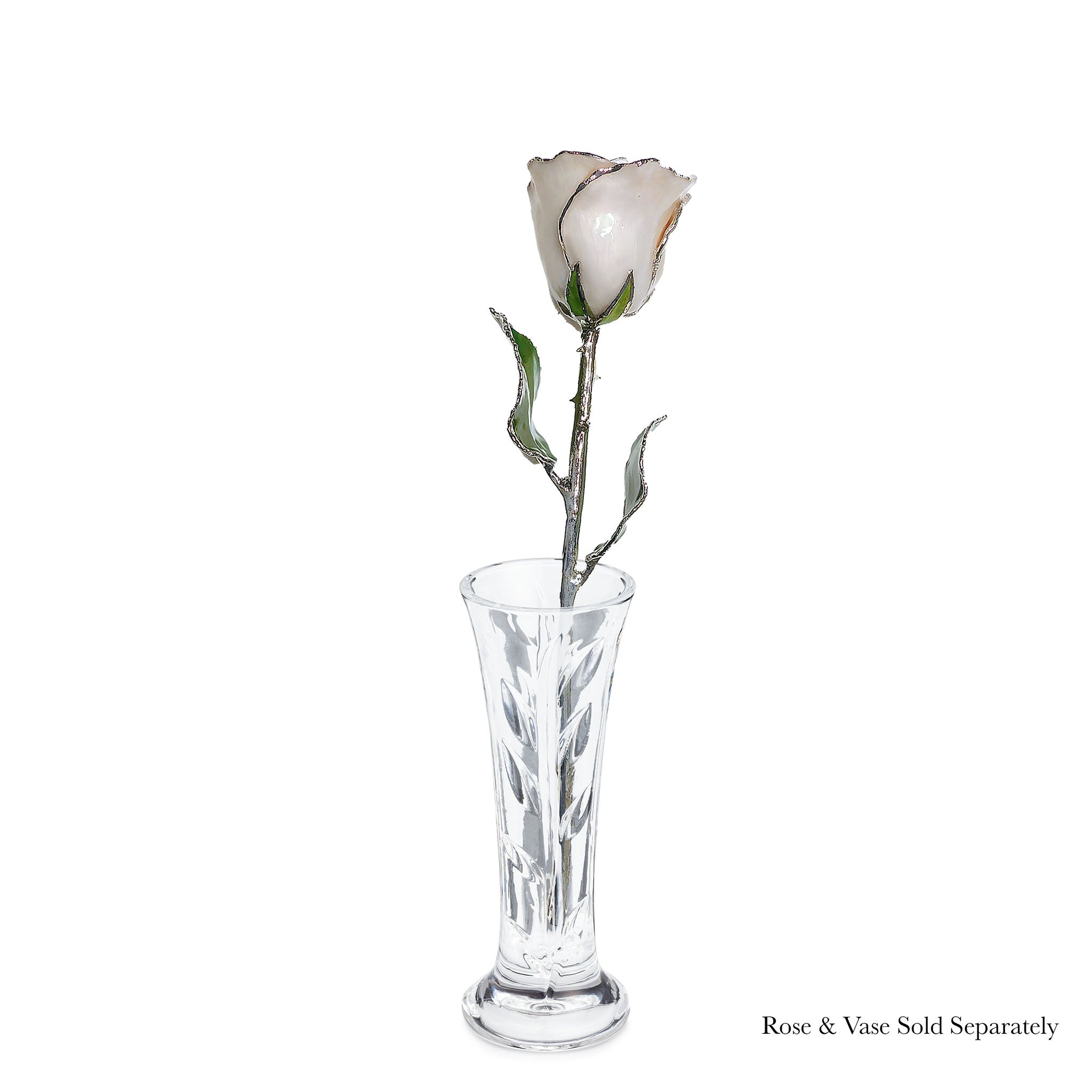 Silver Forever Rose - Pearl (June Birthstone)