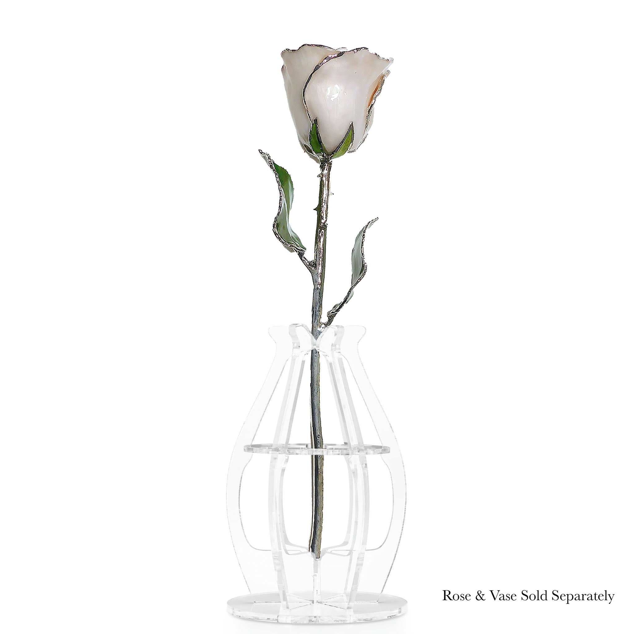 Silver Forever Rose - Pearl (June Birthstone)