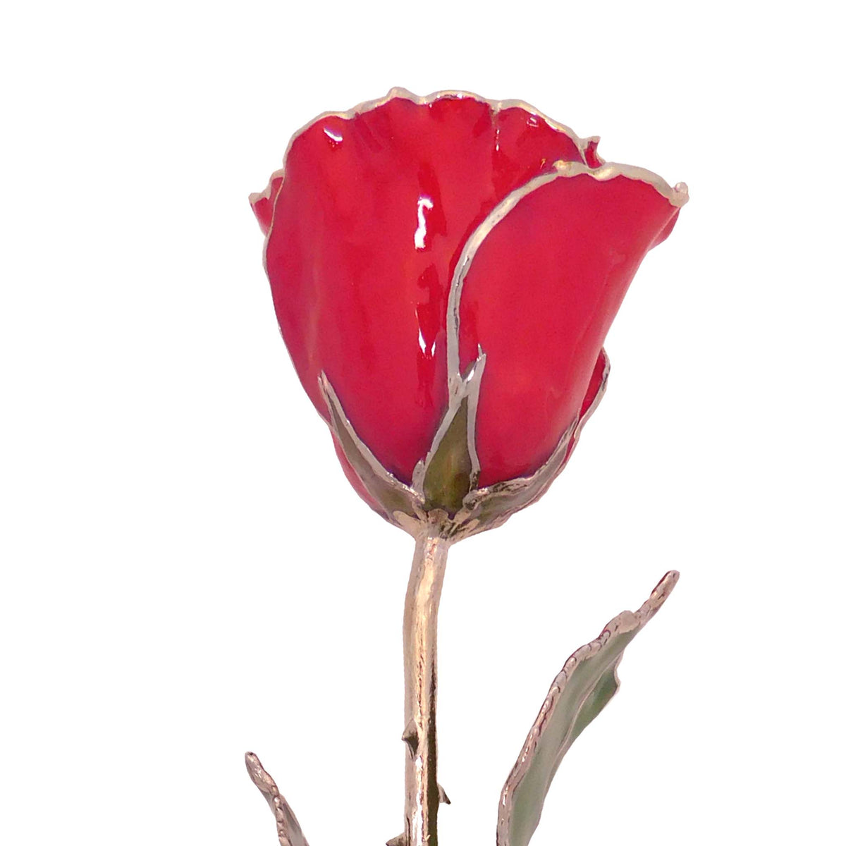 Silver Forever Rose – Red