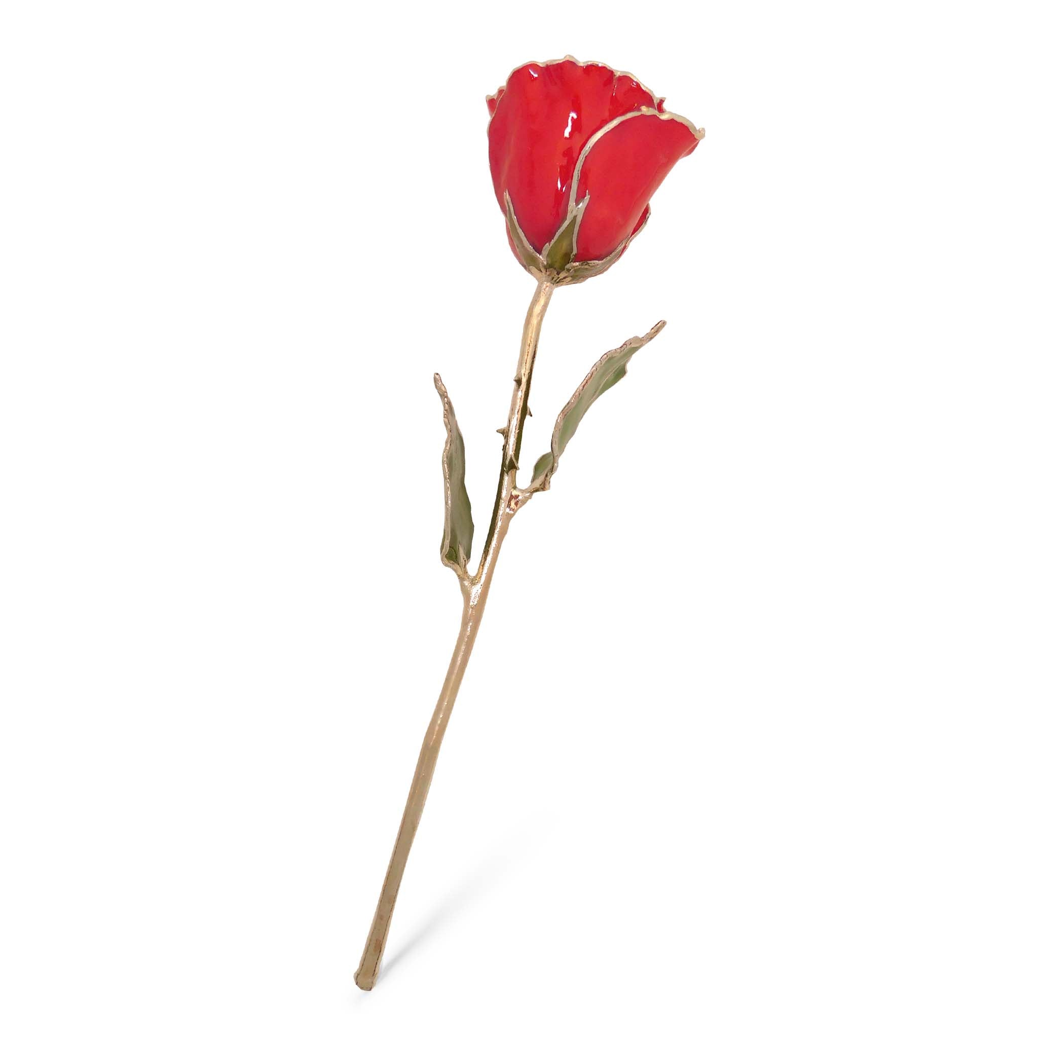 Silver Forever Rose – Red