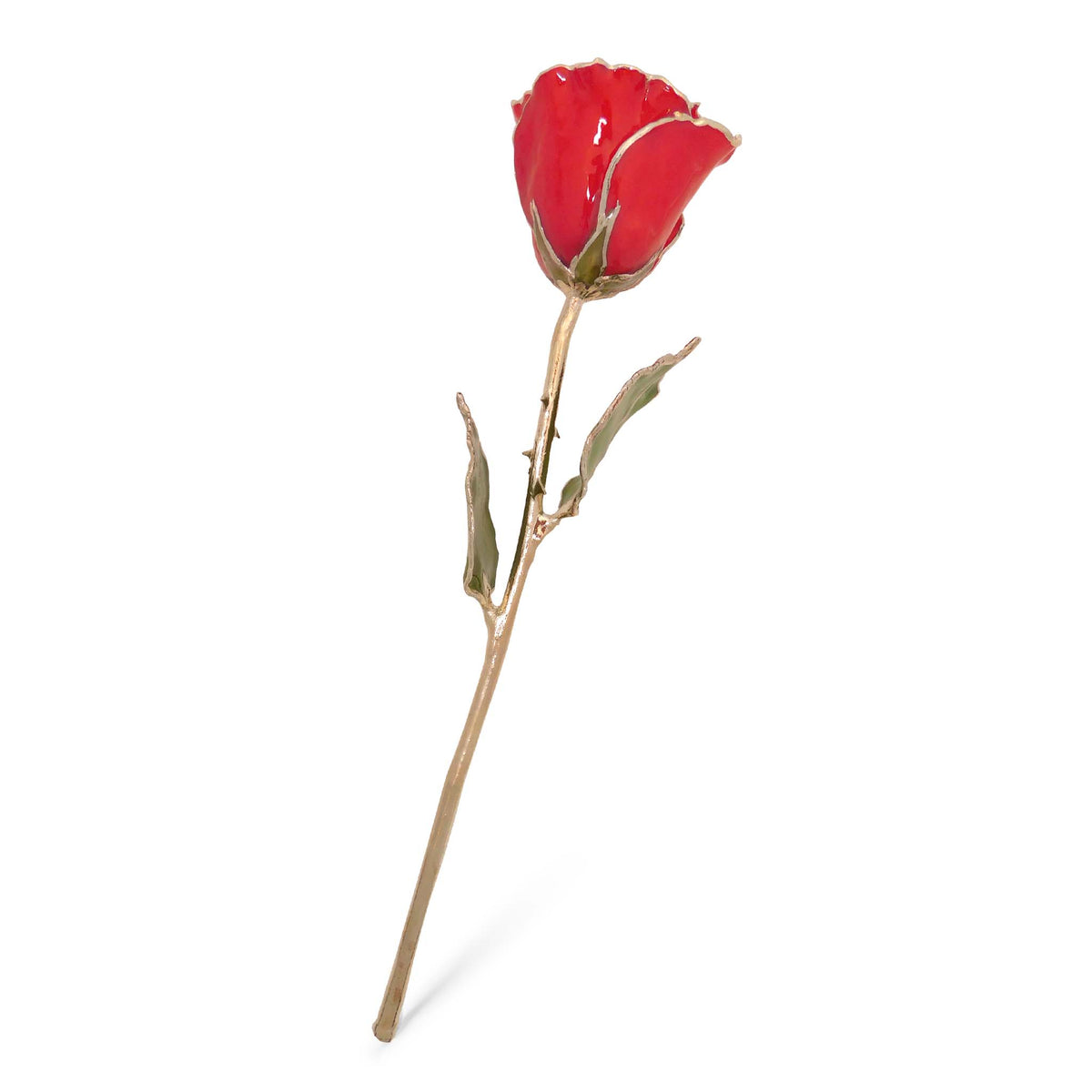 Silver Forever Rose – Red