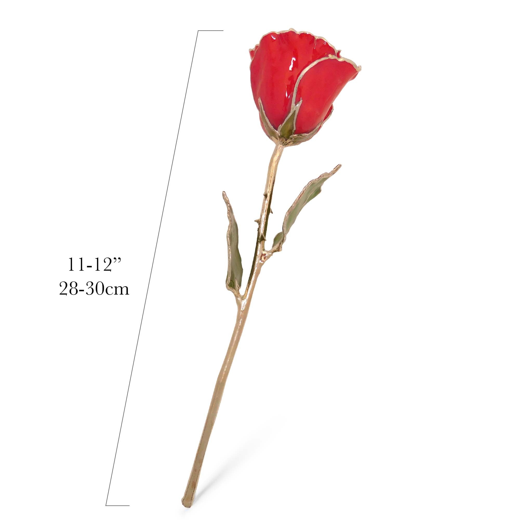 Silver Forever Rose – Red