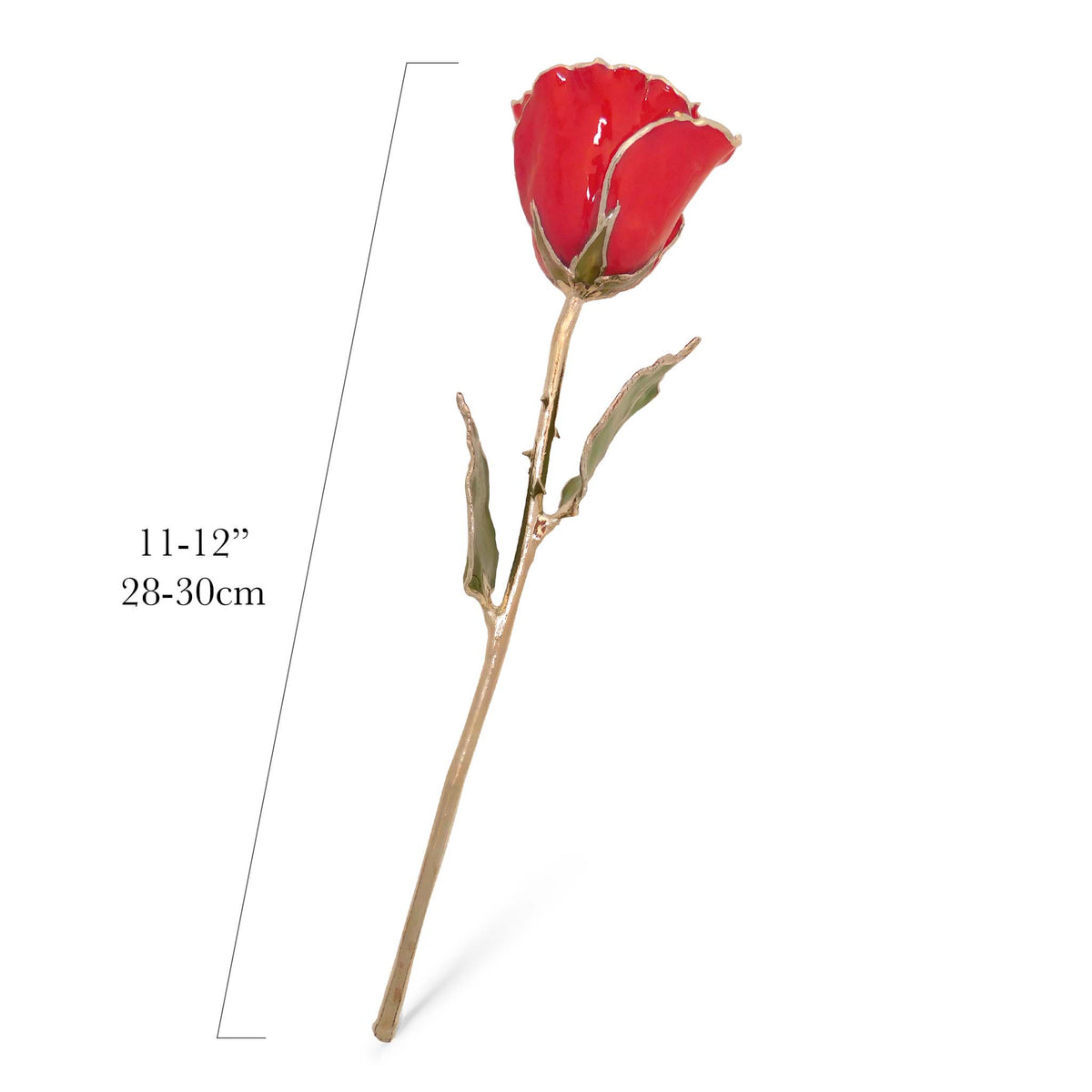 Silver Forever Rose – Red