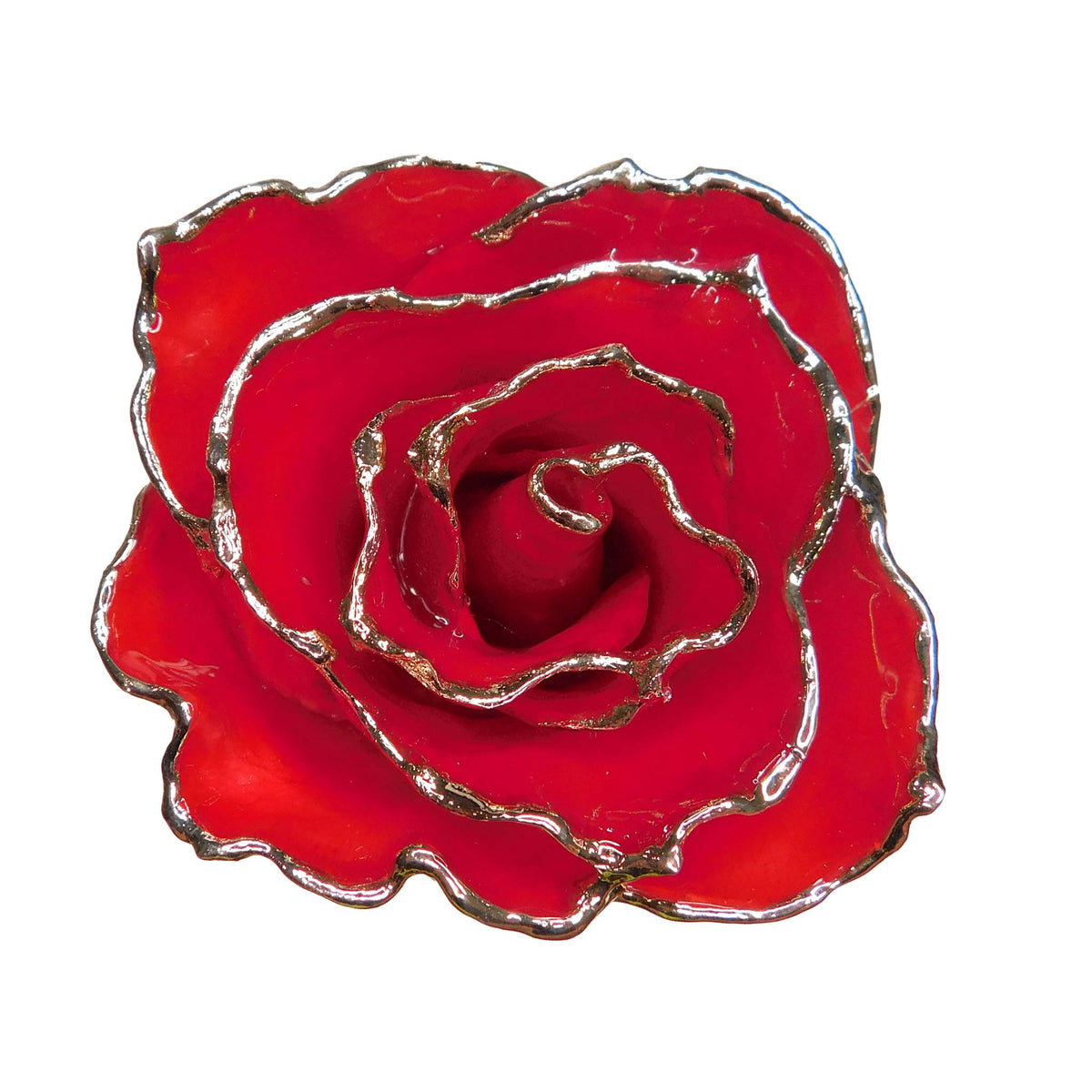 Silver Forever Rose – Red