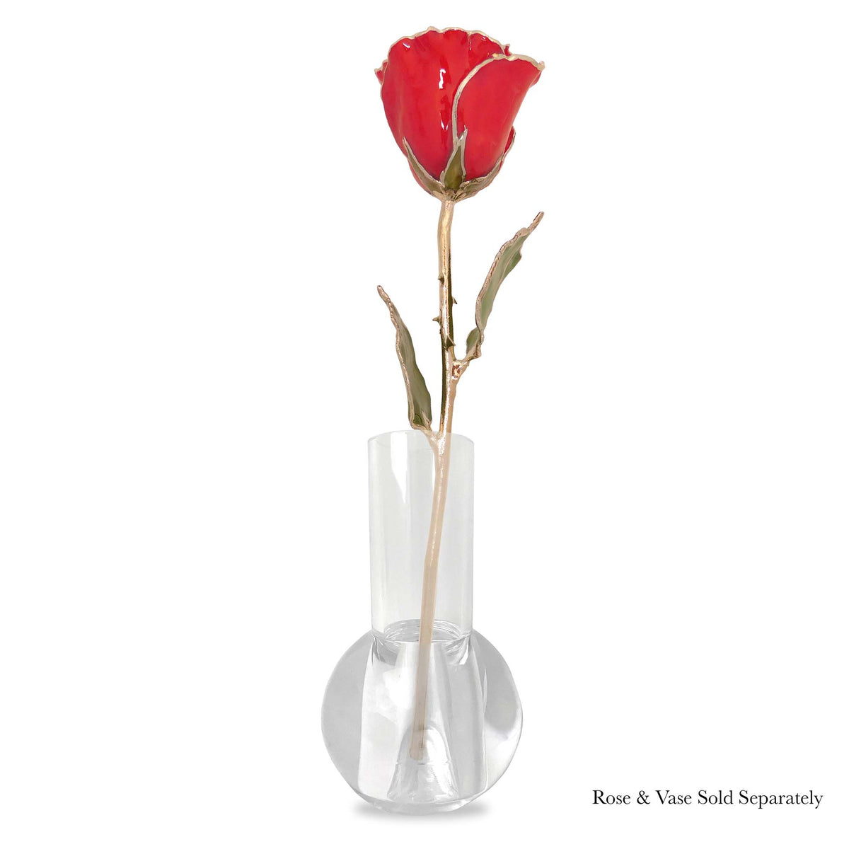 Silver Forever Rose – Red
