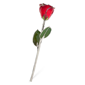Silver Forever Rose - Ruby Red Sparkle (July Birthstone)