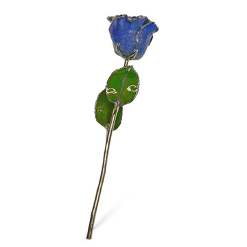Silver Forever Rose - Tanzanite (December Birthstone)