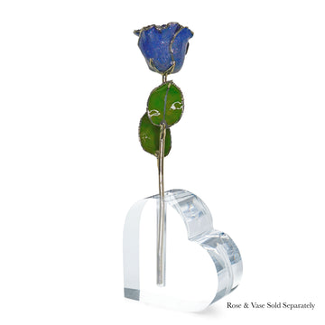 Silver Forever Rose - Tanzanite (December Birthstone)
