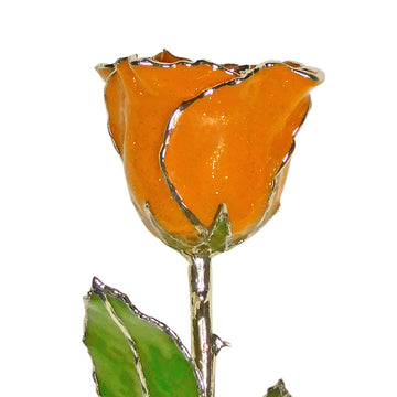 Silver Forever Rose - Golden Topaz (November Birthstone)