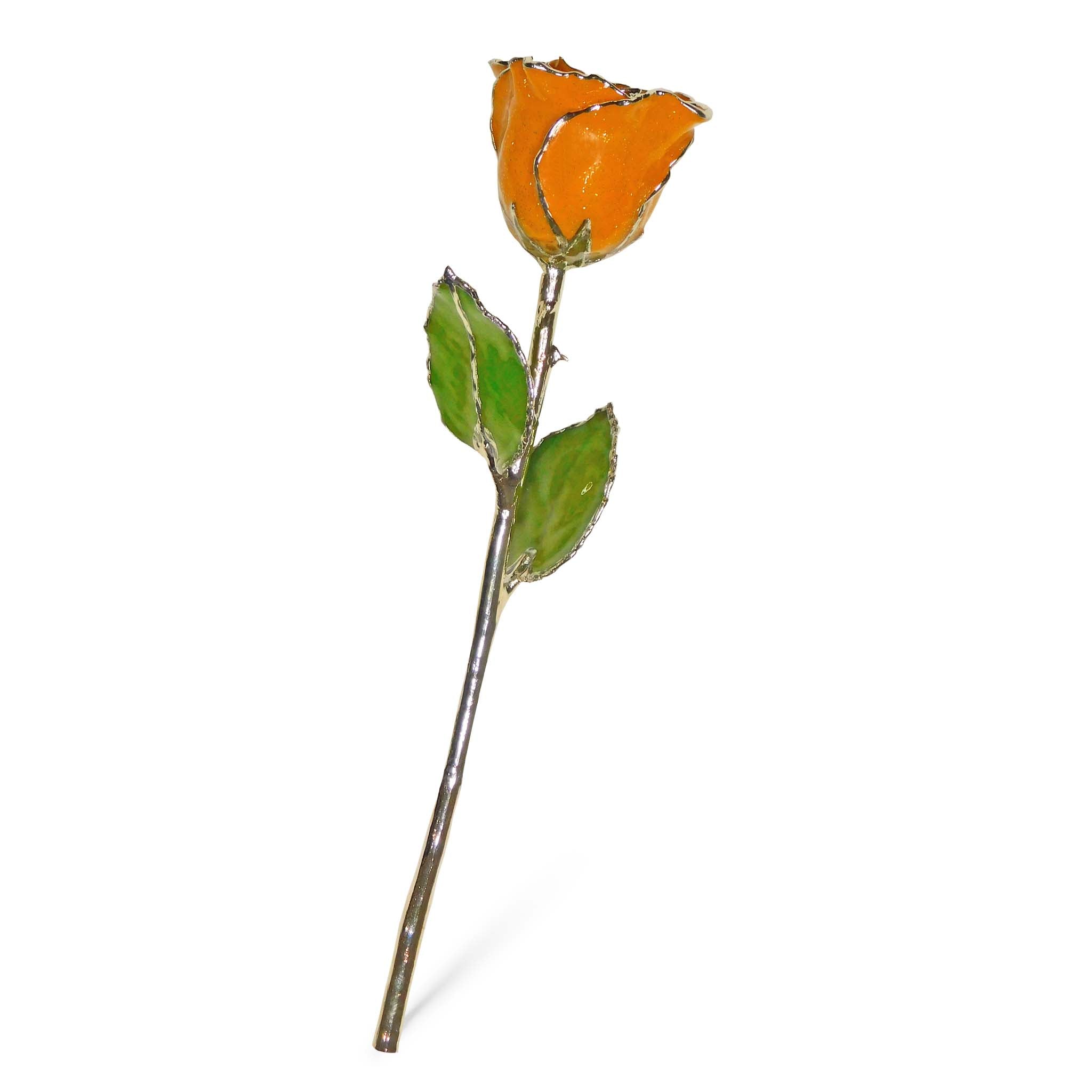 Silver Forever Rose - Golden Topaz (November Birthstone)