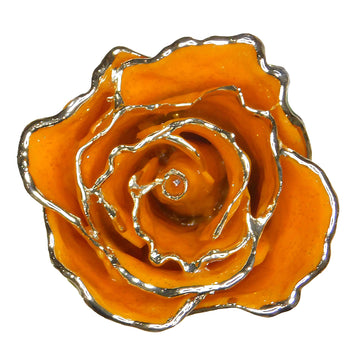 Silver Forever Rose - Golden Topaz (November Birthstone)