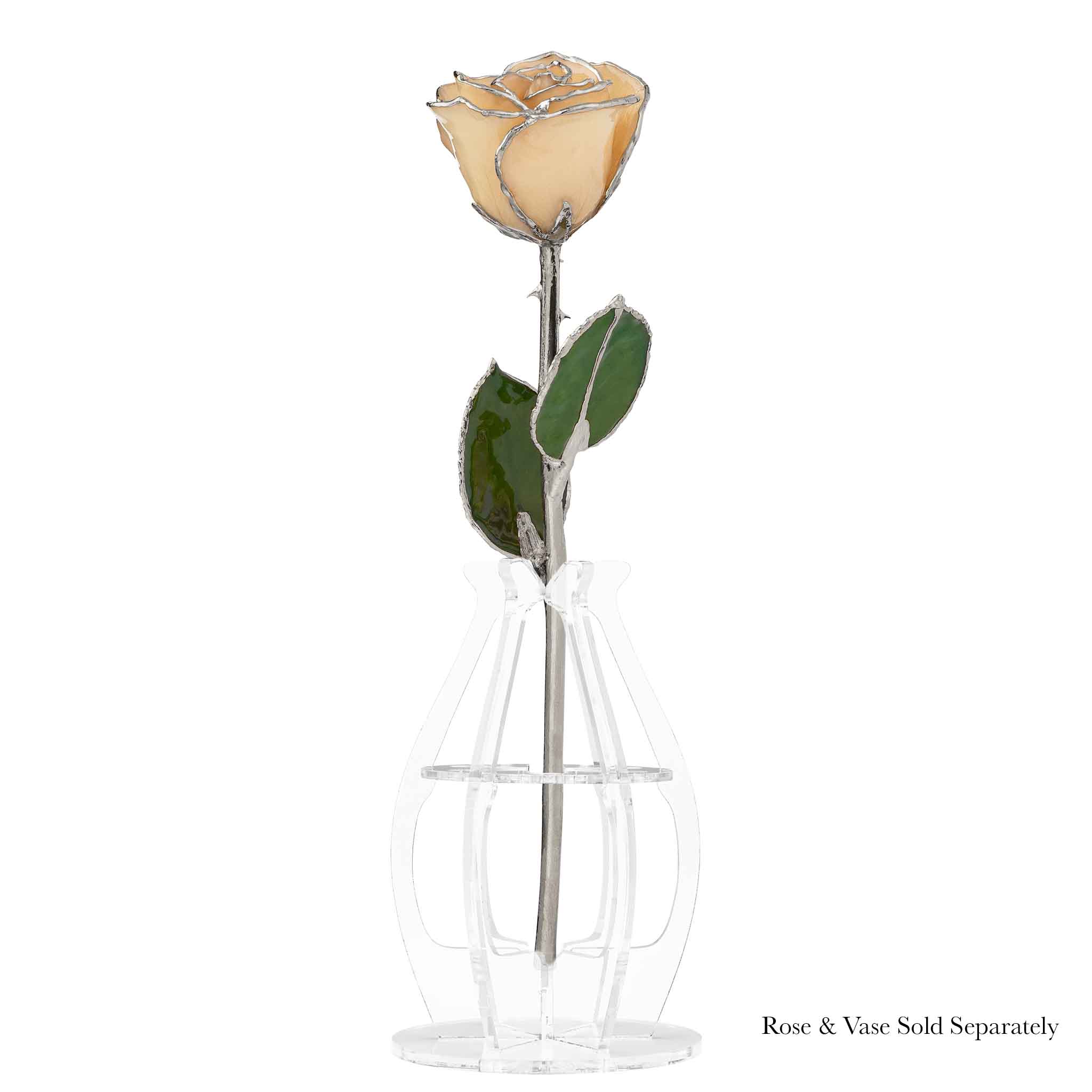 Silver Forever Rose - White