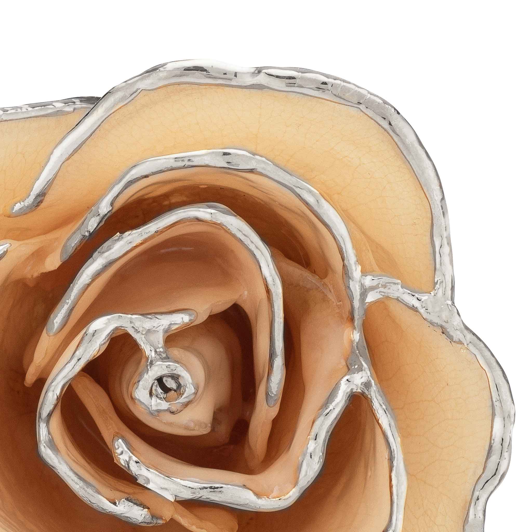 Silver Forever Rose - White