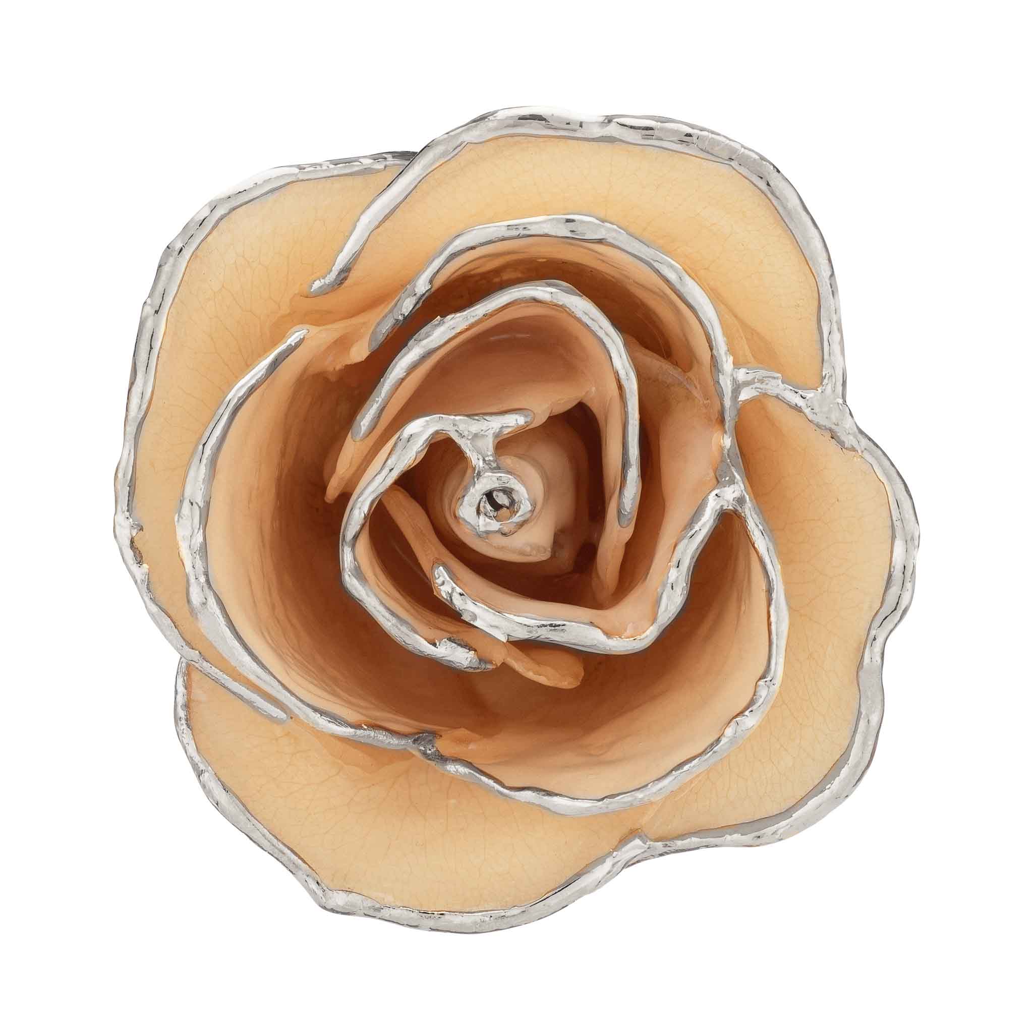 Silver Forever Rose - White