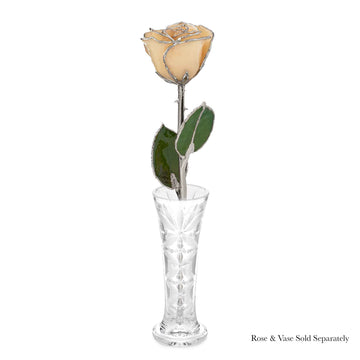 Silver Forever Rose - White