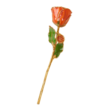 24K Gold Forever Rose - Carnelian