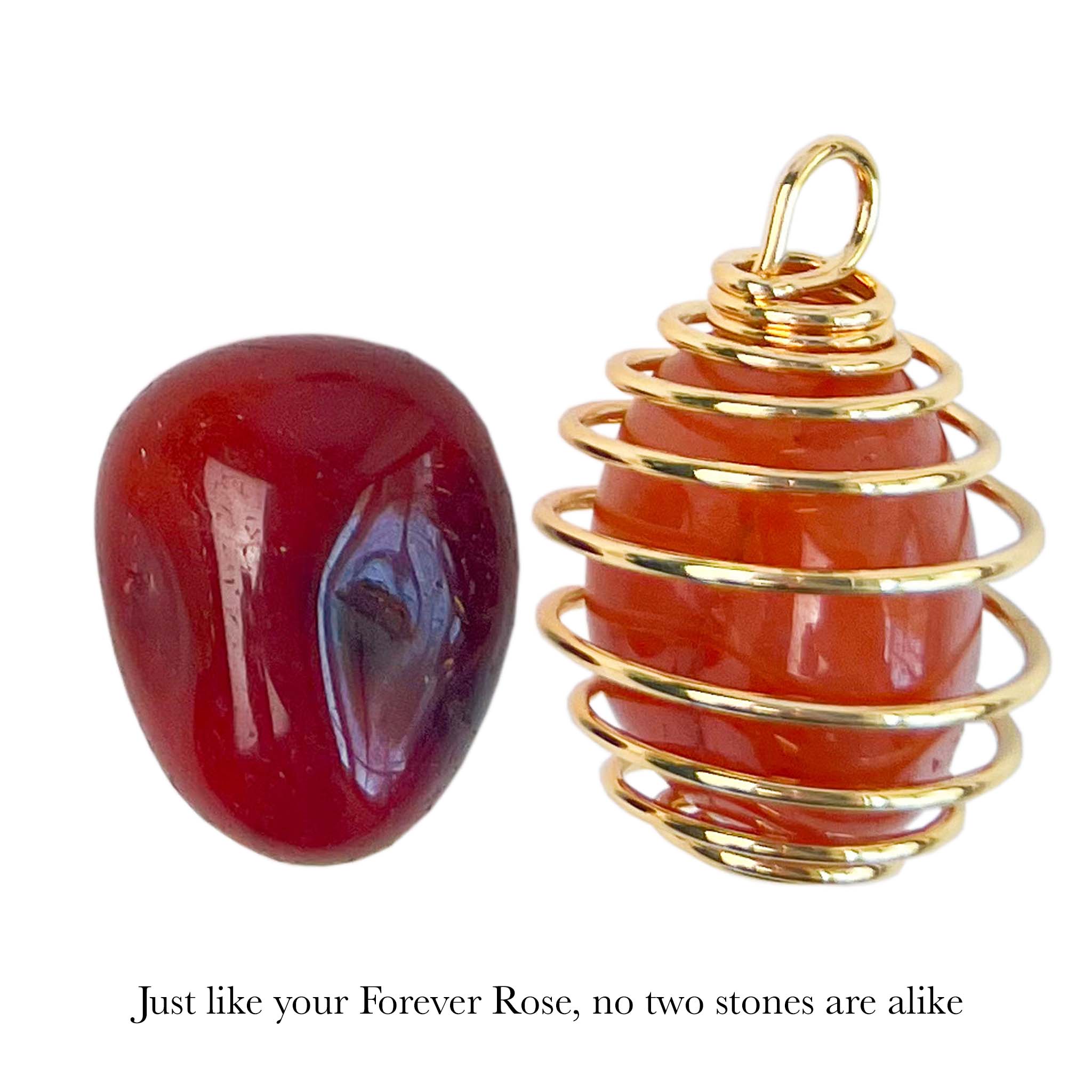 24K Gold Forever Rose - Carnelian