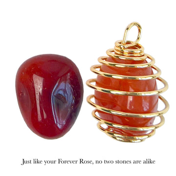 24K Gold Forever Rose - Carnelian