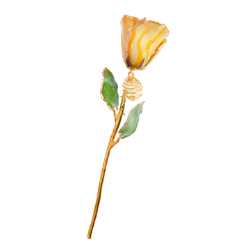 24K Gold Forever Rose - Citrine