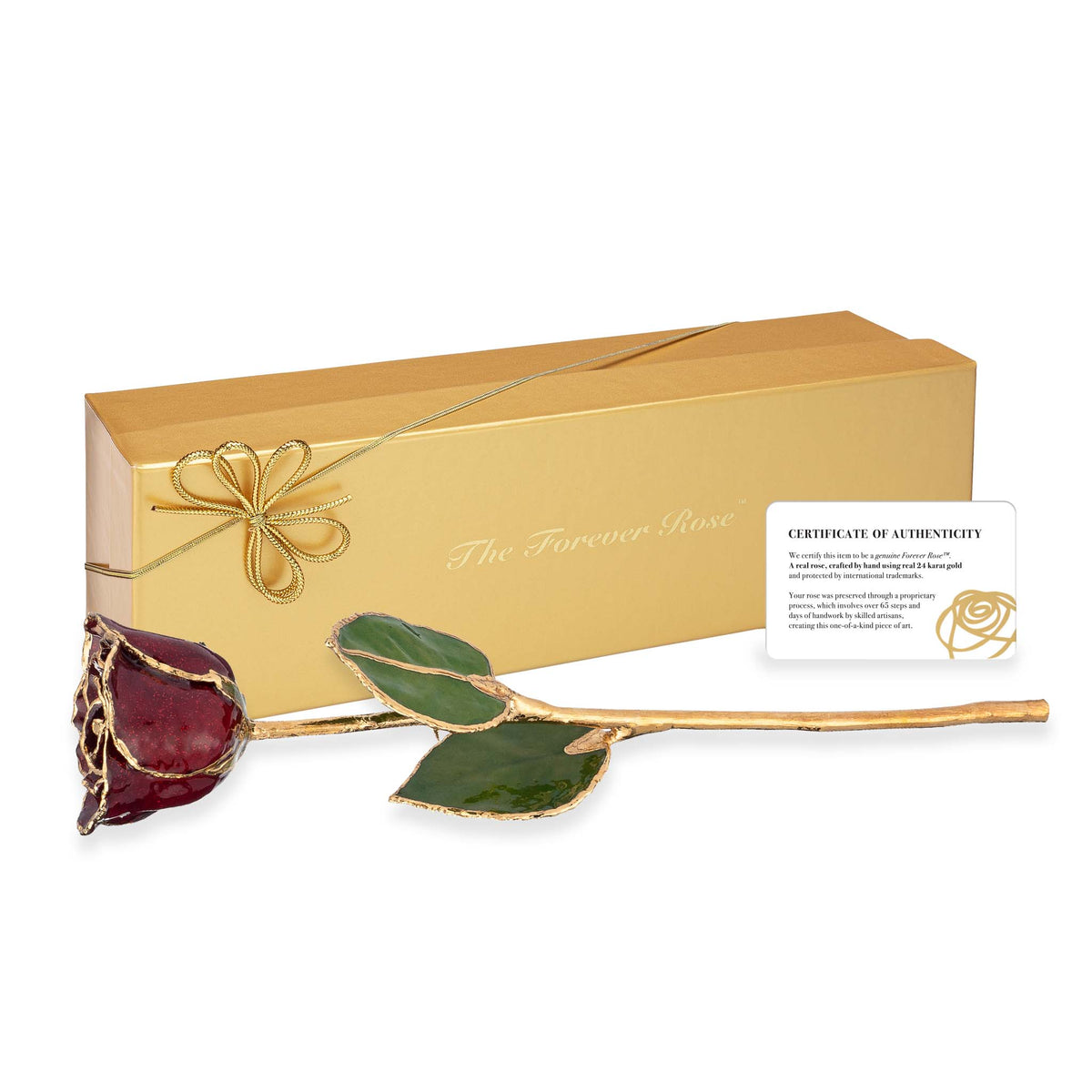 24K Gold Forever Rose - Garnet (January Birthstone)