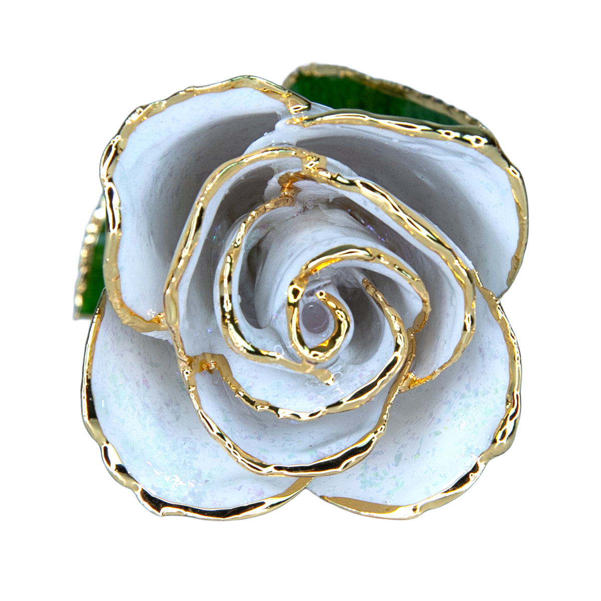 24K Gold Forever Rose - Opal Sparkle (October Birthstone) (Redesigned for 2026)