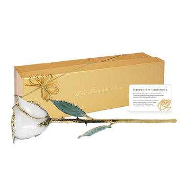 24K Gold Forever Rose - White Pearl (June Birthstone)
