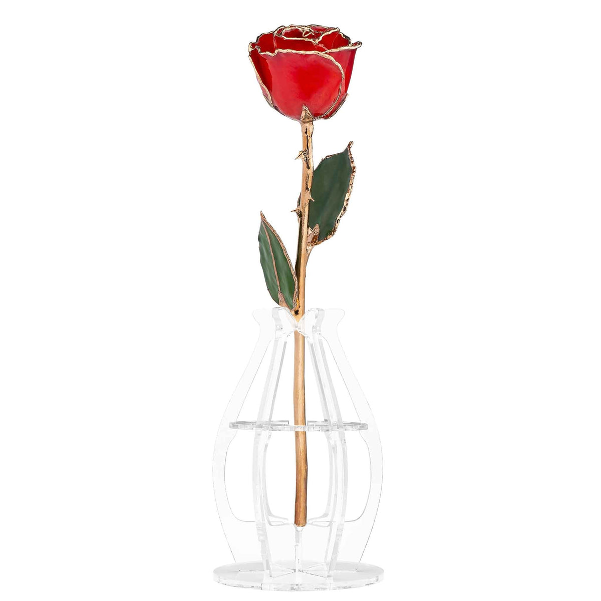 &quot;Happy Anniversary&quot; Personalized 24K Gold Trim Red Forever Rose Combo with Bloom Box &amp; Phantom Vase™ Combo