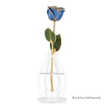 24K Gold Forever Rose - Sapphire Sparkle (September Birthstone)