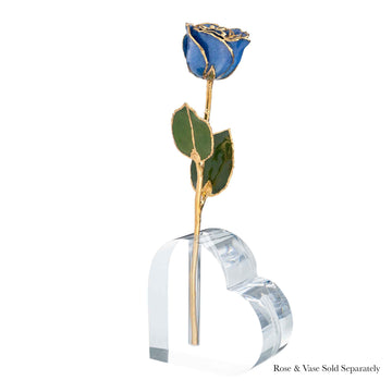 24K Gold Forever Rose - Sapphire Sparkle (September Birthstone)