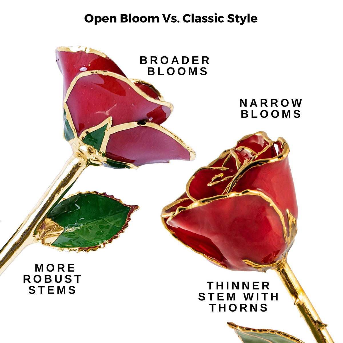 24K Gold Forever Rose - Red (Open Bloom)