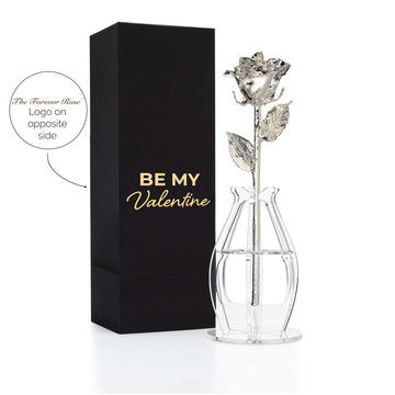 "Be My Valentine" Personalized Silver Forever Rose Combo with Bloom Box & Phantom Vase™ Combo