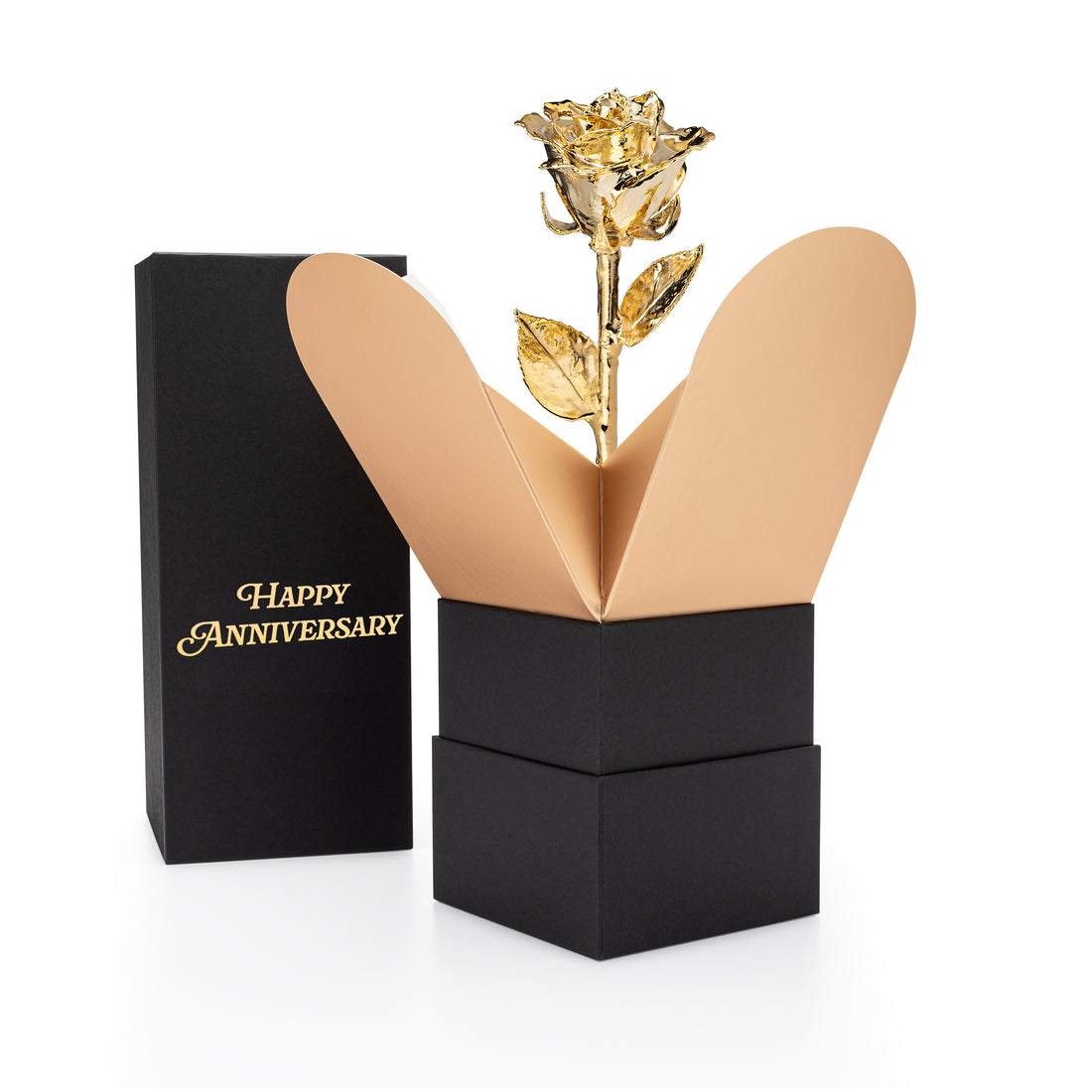 "Happy Anniversary" Bloom Box & Phantom Vase